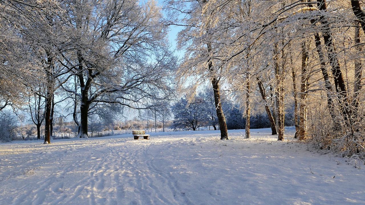 冰雪奇缘2在线免费观看，魔法与冒险的旅程启程了！