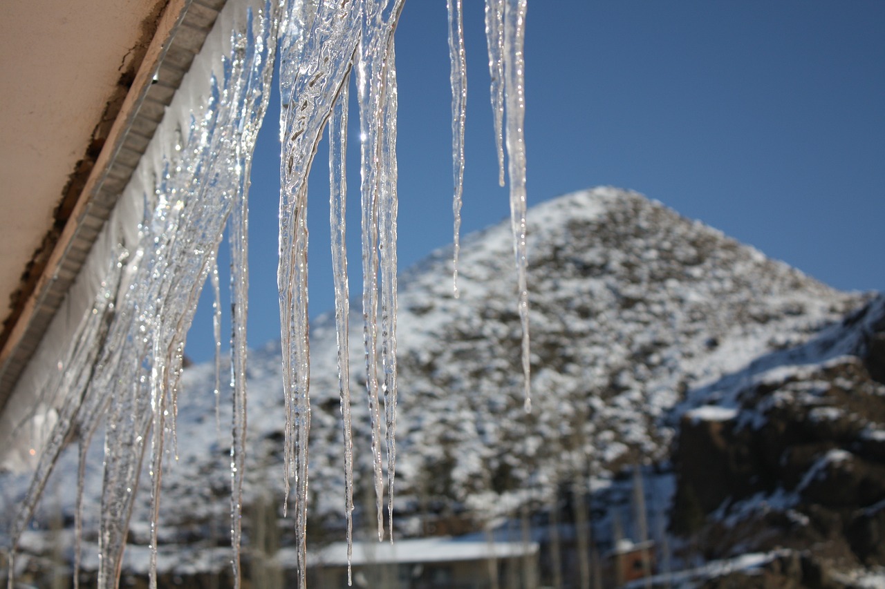 林海雪原电视剧的魅力与在线观看探秘